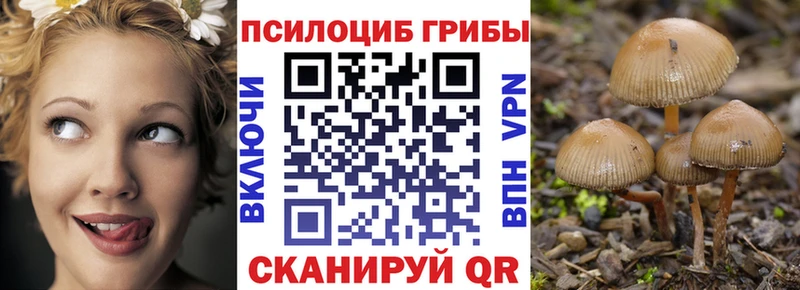 купить наркоту  Волчанск  Псилоцибиновые грибы GOLDEN TEACHER 